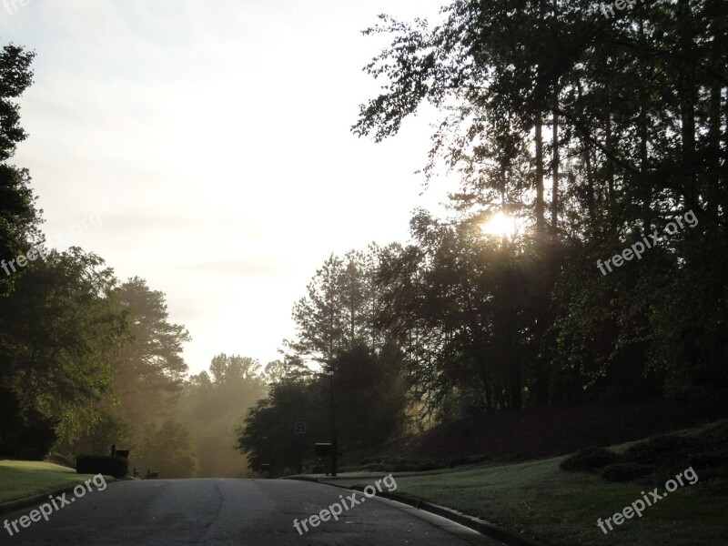 Road Dawn Landscape Nature Light