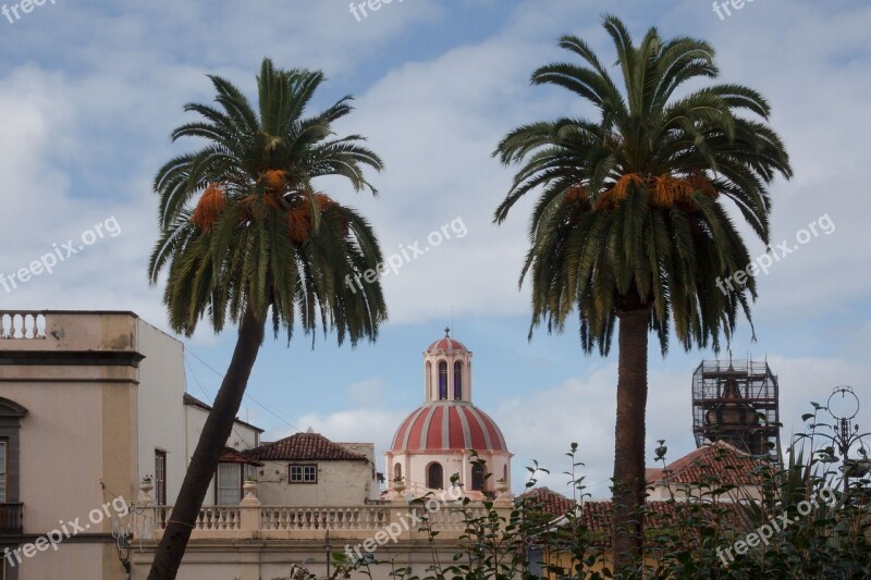 City Church Palm Trees Architecture Outlook