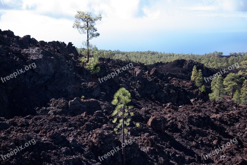 Lava Lava Rock Lava Fields Boulders Lunar Landscape