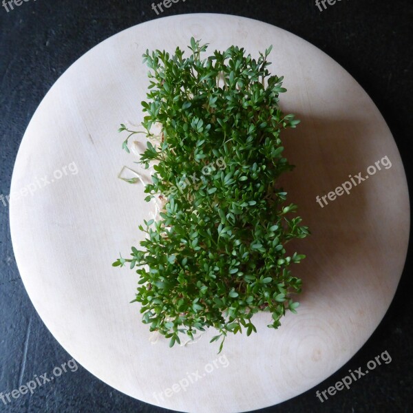 Cress Herbs Green Plant Spice