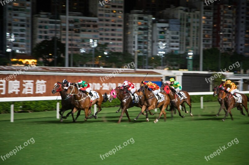 Horse Racing Hong Kong Horse Competition Gallop