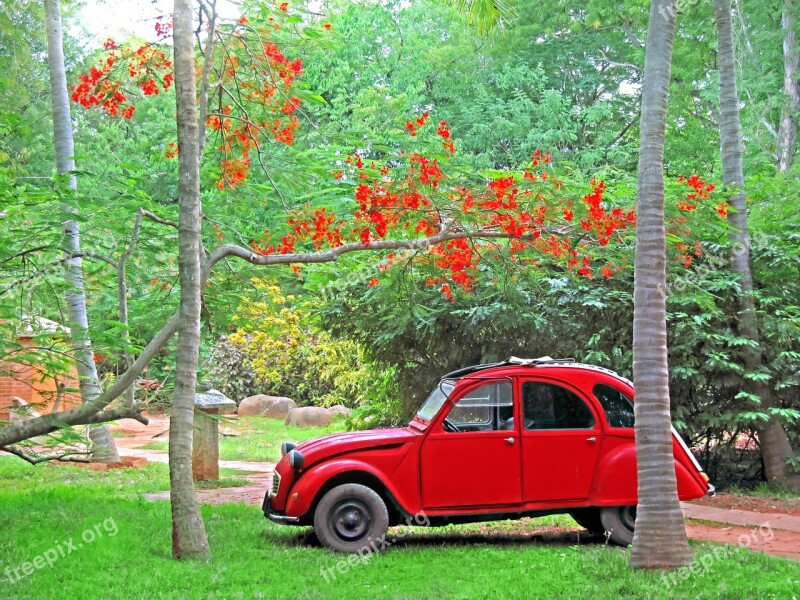 Car Citroën 2cv Red Classic