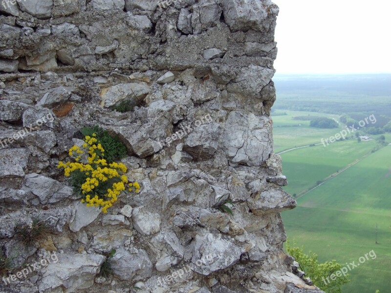 Slovakia Plavecký Hrad Wall Ruins Castle