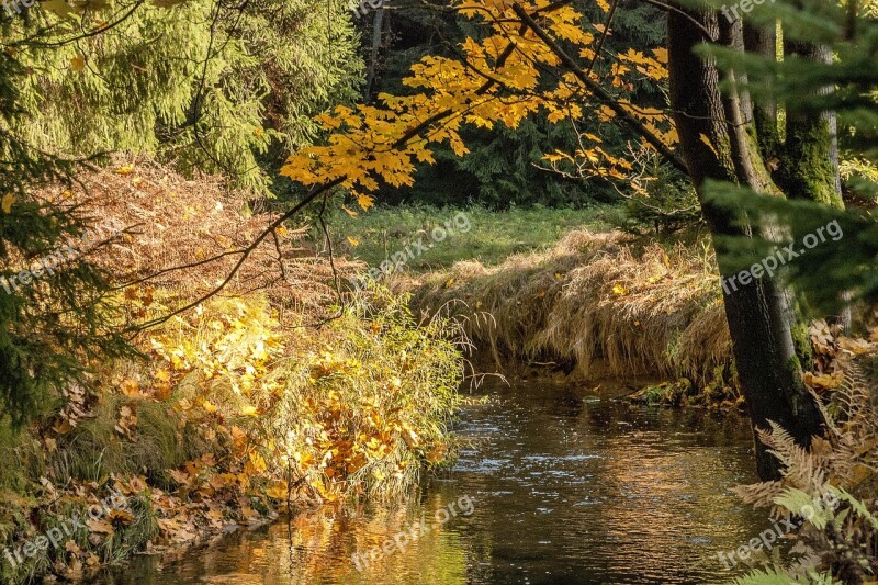 Autumn The Brook Colour Free Photos