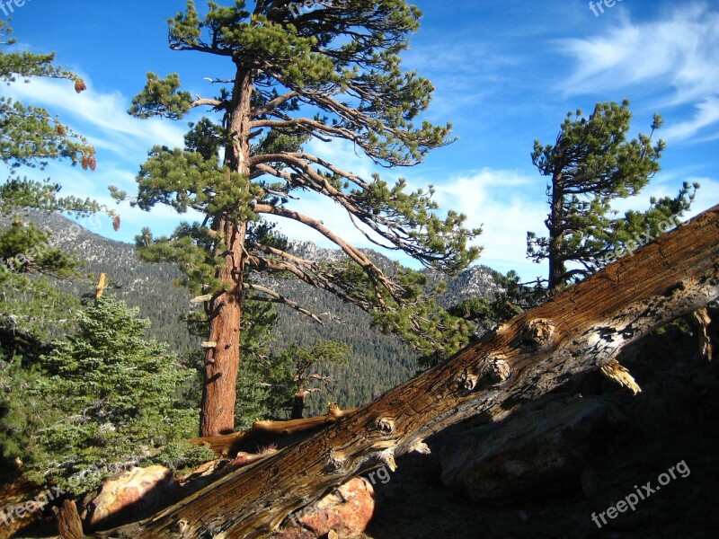 San Jacinto Devils Slide Trail Hiking Backpacking