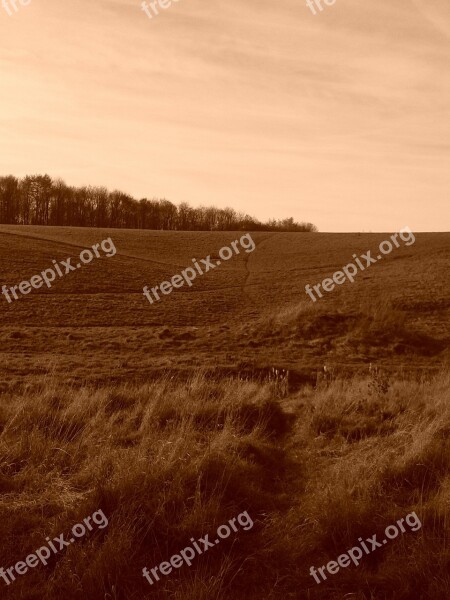 Nature Hill Landscape Meadow Sepia