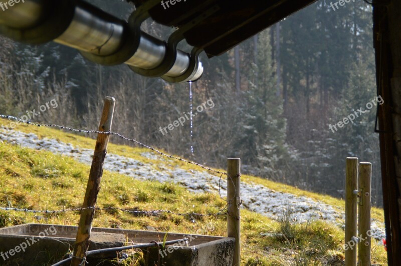 Gutter Tropfnen Wet Water Hut