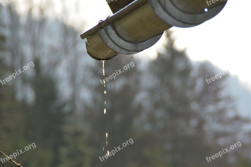 Water Gutter Tropics Free Photos