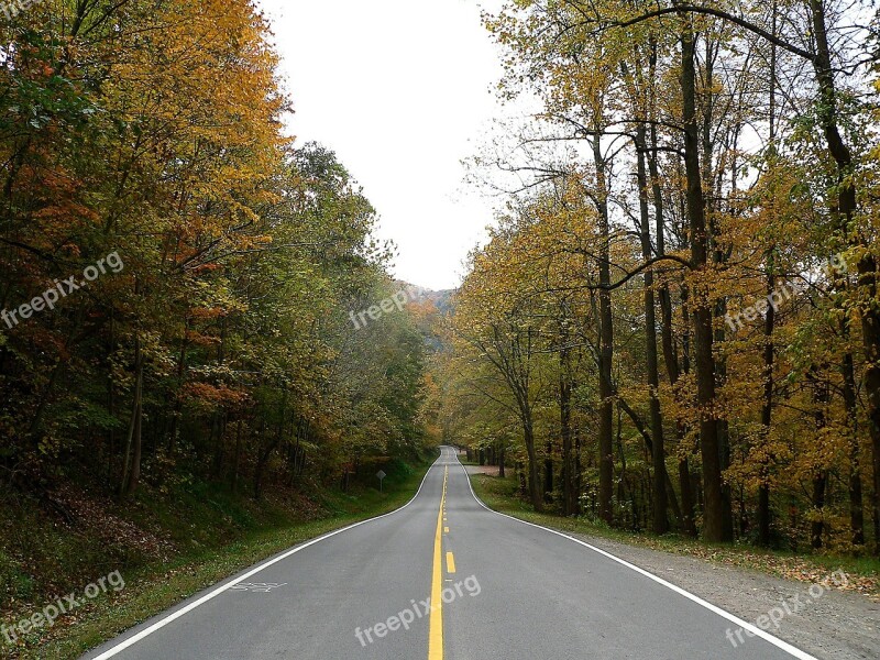 Country Road Fall Foliage Rural Landscape Scenic