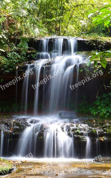 Creek Running Water Falls Free Photos