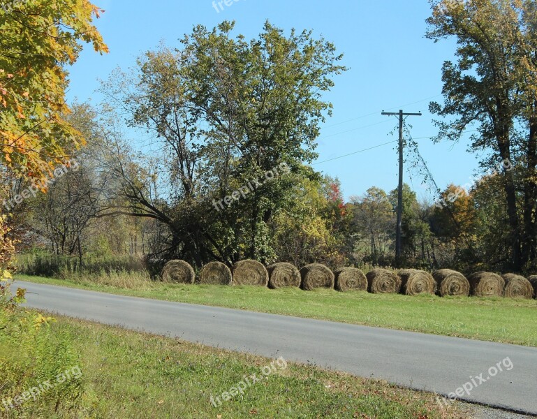 Hay Bale Hay Bales Straw Field