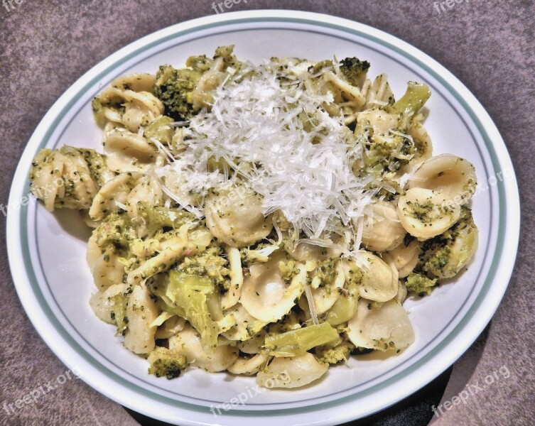 Pasta Orichetti Pasta Broccoli Pecorino Cheese Anchovies