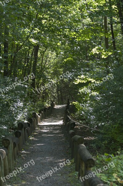 Path Garden Nature Landscape Park