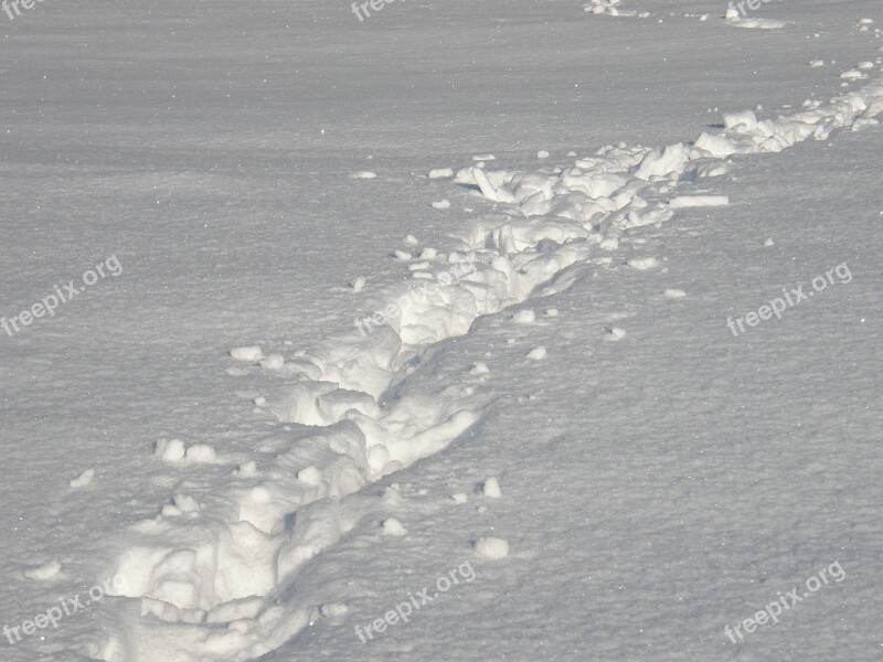 Snow Tracks In The Snow White Footprints Winter