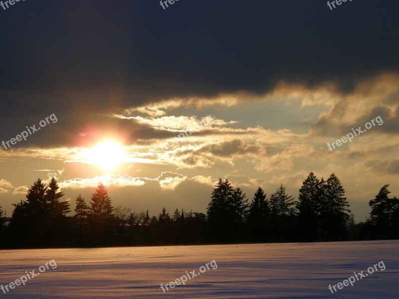 Winter Sun Sunset Wintry Trees Snow