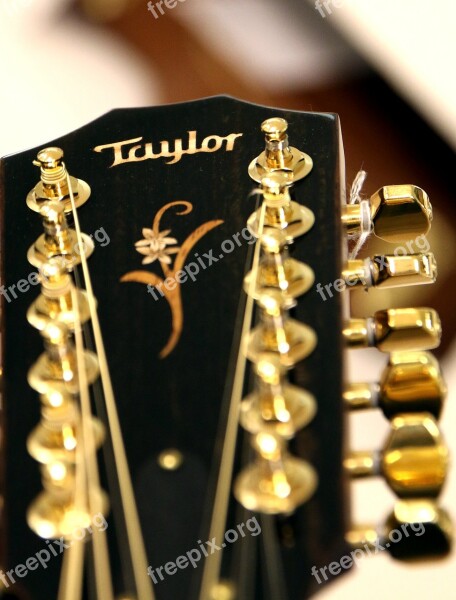 Guitar Acoustic Guitar Strings Taylor 12 String