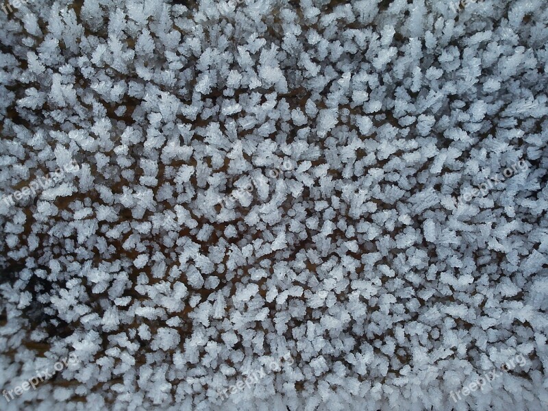 Ice Crystals Hoarfrost Eiskristalle Winter