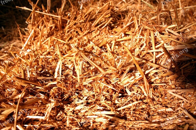 Straw Straw Bales Bale Landscape Farm