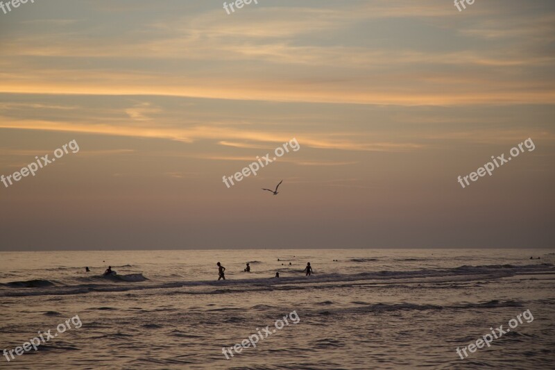 Sea Beach Coastline Swimming Water