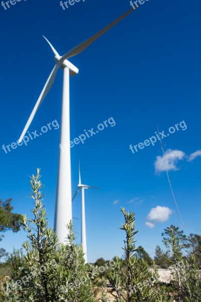 Renewable Energy Wind Turbine Wind Energy Free Photos