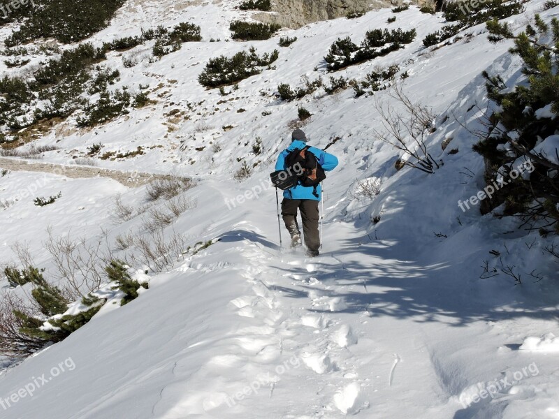 Hiking Snow Walk Sticks Man