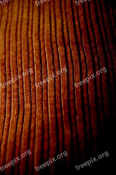 Fabric Velvet Brown Free Photos