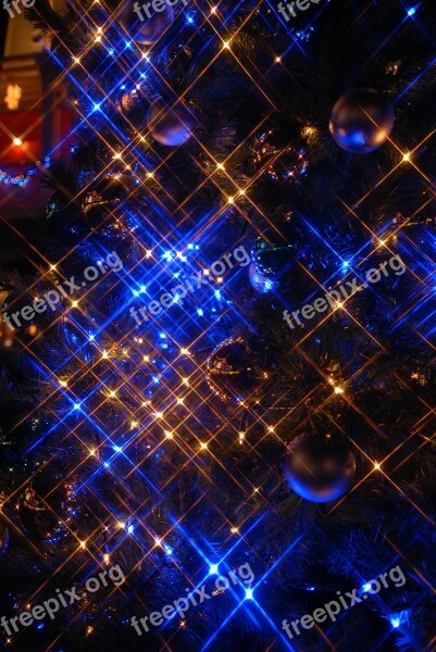 Illumination Blue Yokohama Gold Christmas Free Photos