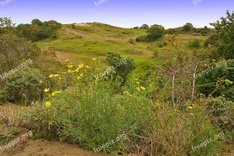 Nature Reserve Brecca Hill Dunes Steppe