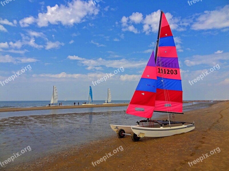 Sailing Catamaran Catamaran Sailing Leisure Sun