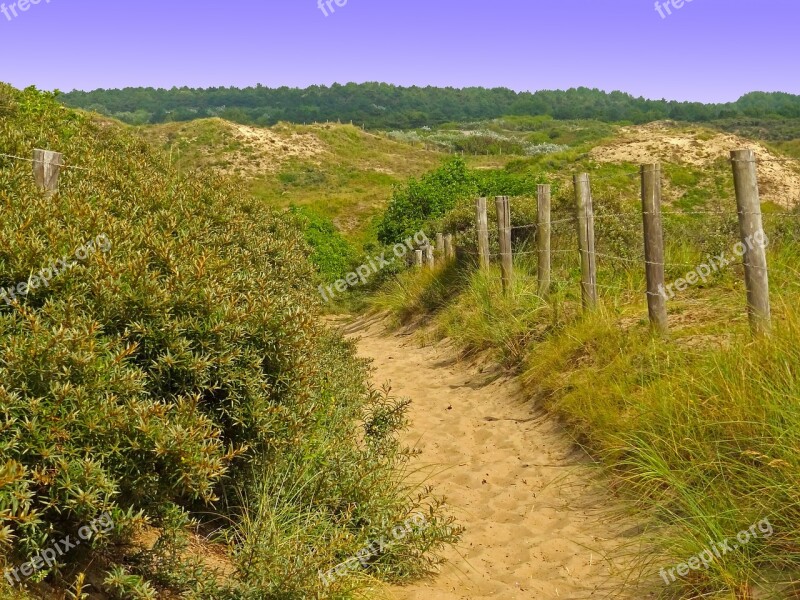 Dune Landscape Away Hill Path Dunes