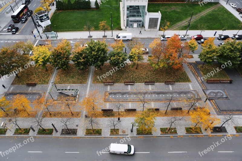 Urban Road Park Street Aerial View