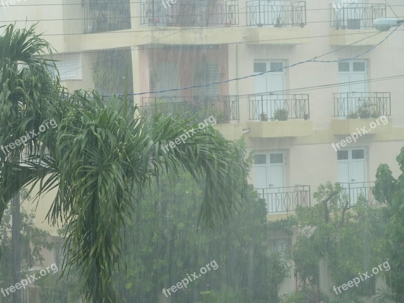 Rain Storm Downpour Rainstorm Shiver