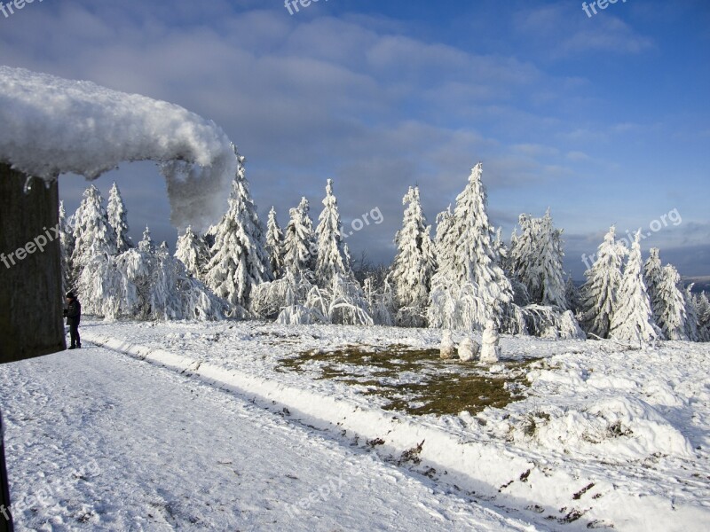 Trees Ice Frost Landscape Nature