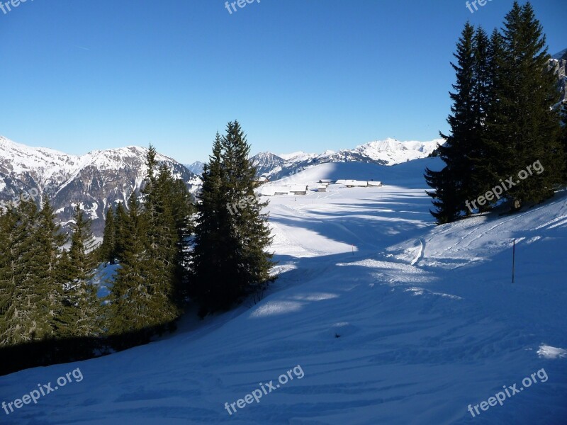 Winter Snow Wintry Winter Forest Snowy