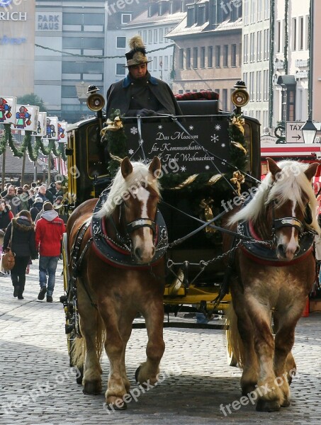 Coach Horses Nuremberg Historic Center Christmas Market