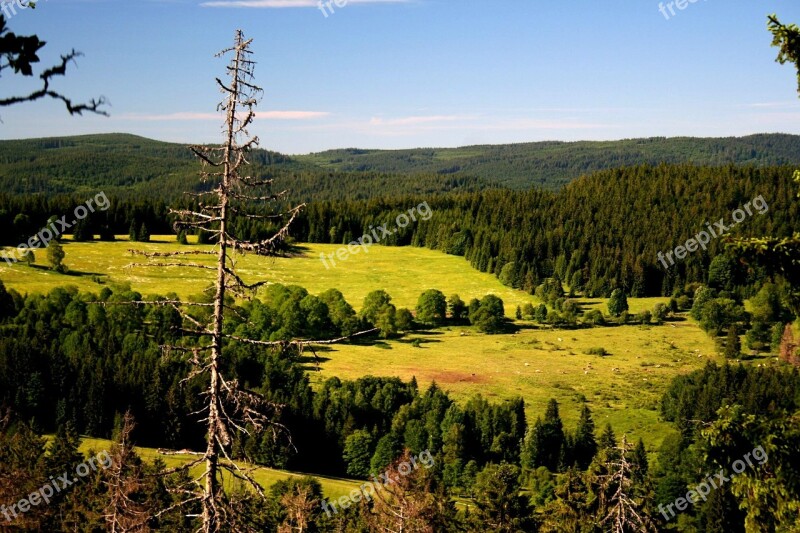 šumava Landscape Nature Forests Free Photos