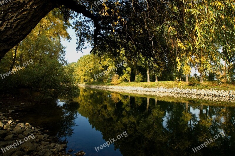 Rhine Aue Channel Free Photos