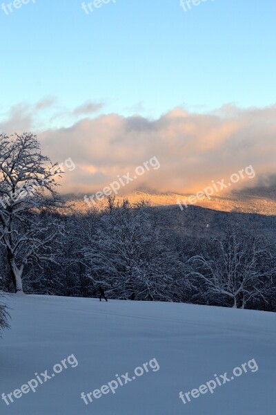 Mountain Snow Winter Trees Sunset