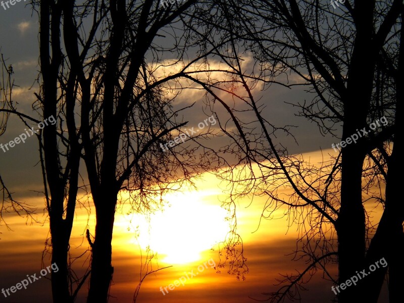 Sun Sky Red Cloud Tree