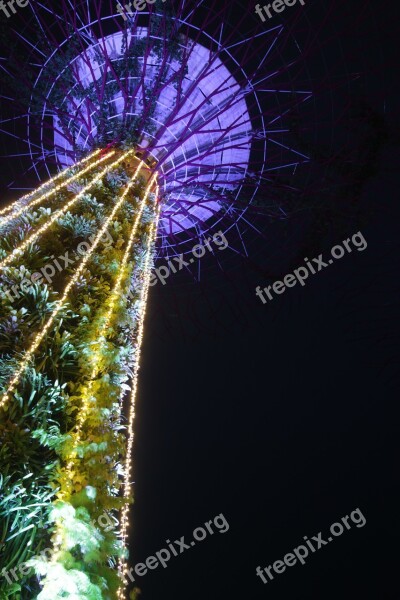 Supertree Night Singapore Architecture Light