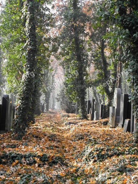 Cemetery Grave Tomb Grave Stones God's Acre