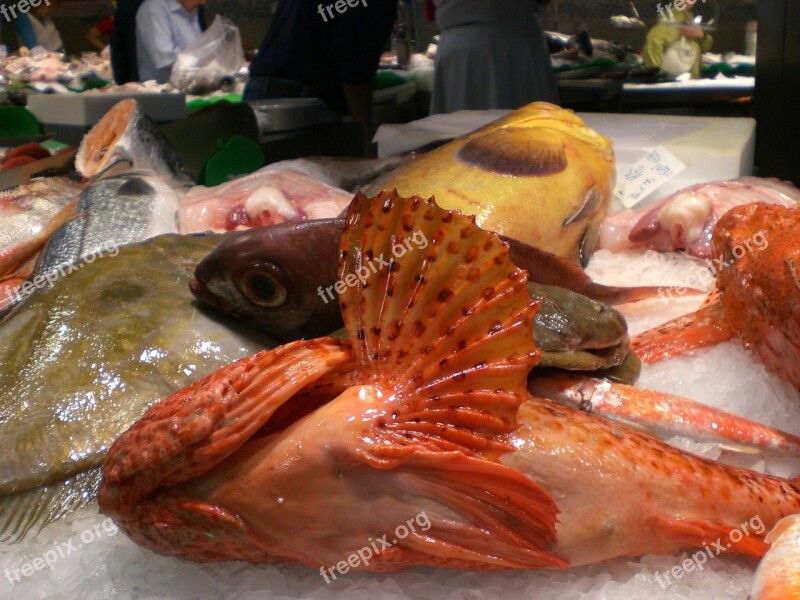 Fish Market Fish Food Sea Sea Animals