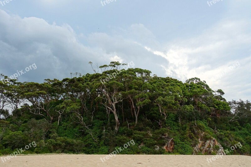 Island Trees Tropical Landscape Sand