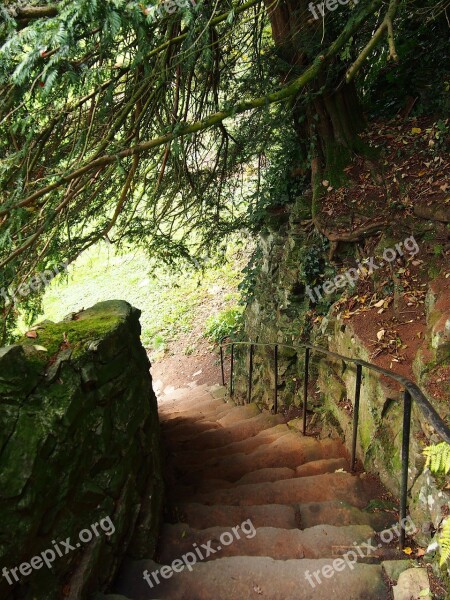 Steps Stairs Stone Stairway Way