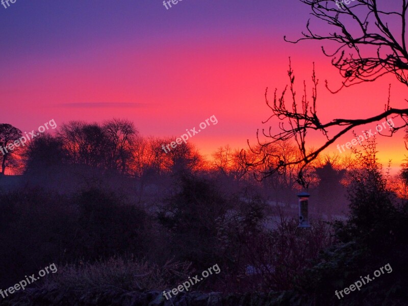 Sunrise Winter Frost Countryside Trees