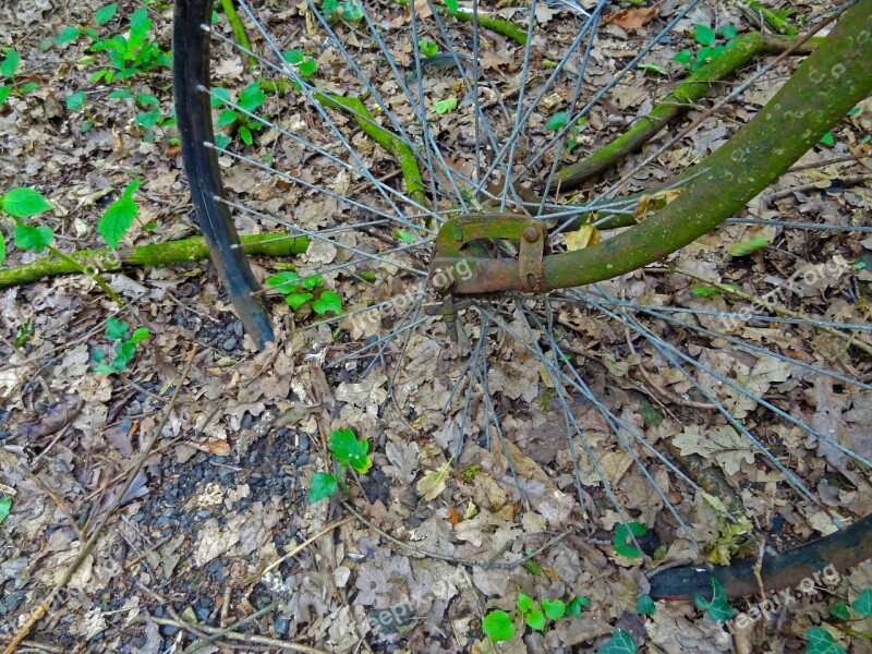 Bike Rim Wheel Rust Nature