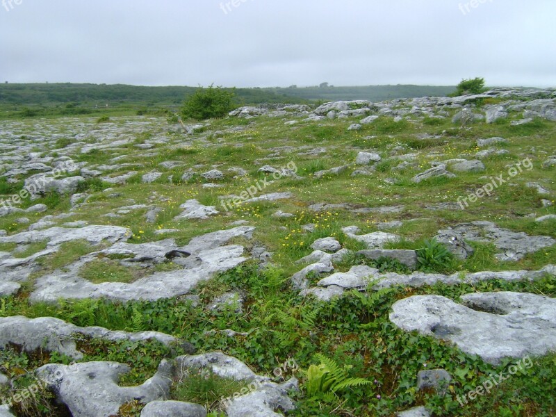 Ireland Rocky Ground Rocks Grass