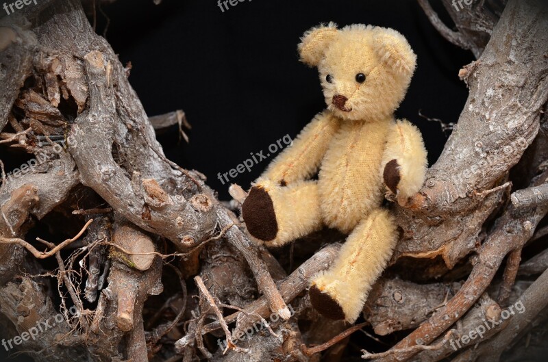 Teddy Bear Hand Labor Small Cute Hobby