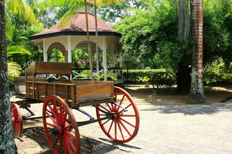 Horse Cart Colonial Plantantation Wheels Free Photos