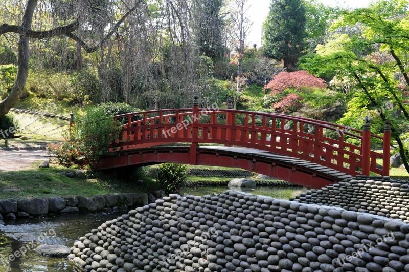 Albert Kahn Garden Japanese Garden Boulogne-billancourt Nature Red Bridge